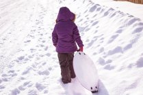 Вид сзади на девушку, идущую на санках зимой — стоковое фото