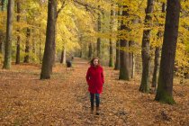 Woman walking alone in the park during autumn — Stock Photo
