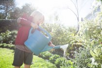 Мальчик поливает растения в саду в солнечный день — стоковое фото