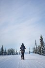 Вид ззаду жінки, що йде на снігу покритий пейзаж — стокове фото