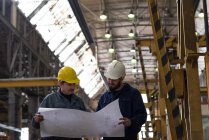 Technician discussing blueprint with his colleague in metal industry — Stock Photo