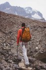 Rear view of male hiker with backpack walking on mountain — Stock Photo