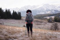 Вид ззаду жінки, що стоїть з рюкзаком і пішохідним полюсом взимку — стокове фото