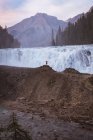 Вид ззаду людини, що стоїть з обіймами, витягнутими біля водоспаду — стокове фото