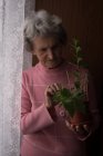 Senior mulher verificando uma planta em casa — Fotografia de Stock