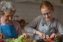 Abuela y nieta cortando verduras en la cocina en casa - foto de stock