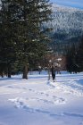 Mujer atlética trotando en el paisaje nevado en un día soleado - foto de stock