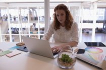Жіночий керівник використовує ноутбук за столом в офісі — стокове фото