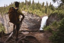 Вид сзади на человека, смотрящего на водопад — стоковое фото
