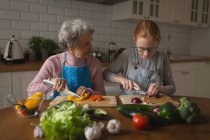 Großmutter und Enkelin schneiden Gemüse in der heimischen Küche — Stockfoto