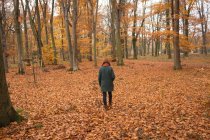 Visão traseira da mulher andando sozinha no parque durante o outono — Fotografia de Stock