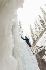 Male rock climber climbing ice mountain during winter — Stock Photo