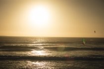 Чоловічий серфер серфінг з дошкою для серфінгу та повітряним змієм на пляжі — стокове фото