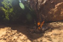 Lagerfeuer brennt an einem sonnigen Tag auf dem Land — Stockfoto