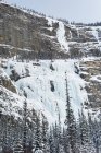 Красива снігова покрита скеля взимку — стокове фото