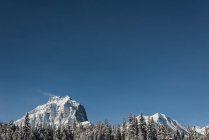 Красивая заснеженная гора зимой — стоковое фото