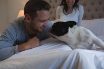 Пара, играющая со своей домашней собакой в спальне — стоковое фото