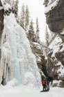 Скалолаз в упряжке у скалистых гор зимой — стоковое фото