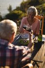 Feliz pareja de ancianos brindar vasos de vino en el patio trasero - foto de stock