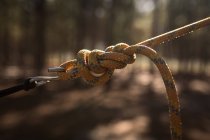 Nahaufnahme gebundener Hängemattengurt im Wald — Stockfoto
