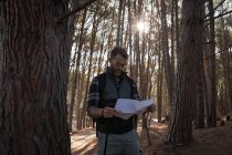 Homme regardant la carte en forêt par une journée ensoleillée — Photo de stock