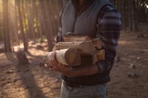 Mid section of man holding logs in the forest — Stock Photo