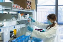 Вчений заливає хімічний розчин на конічній колбі з пляшки в лабораторії — стокове фото