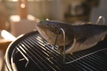 Крупный план рыбы на барбекю на заднем дворе — стоковое фото