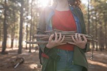 Seção média de mulher segurando varas de plantas na floresta — Fotografia de Stock