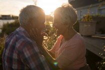 Glückliches Senioren-Paar schaut sich im Hinterhof an — Stockfoto
