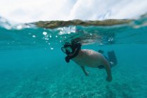 Homme faisant de la plongée sous-marine en mer turquoise par côte — Photo de stock