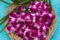 Gros plan sur les fleurs de plumeria dans le panier — Photo de stock