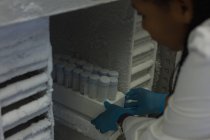 Científico mirando los tubos de ensayo en el laboratorio - foto de stock