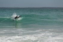 Surfista feminina surfando na praia em um dia ensolarado — Fotografia de Stock
