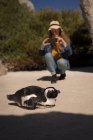 Mulher clicando foto de pinguim com telefone celular na praia — Fotografia de Stock