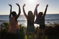 Rear view of female friends happy in the beach — стоковое фото