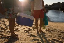 Masculino amigos carregando esky na praia em um dia ensolarado — Fotografia de Stock