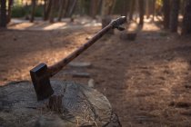 Close-up of an axe being thrust into a stump — Stock Photo