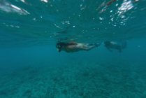 Couple plongée sous-marine en mer turquoise — Photo de stock