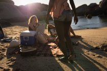 Amici femminili si divertono in spiaggia in una giornata di sole — Foto stock