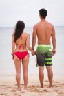 Visão traseira do casal de pé junto com a mão na mão na praia — Fotografia de Stock