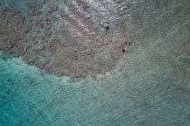 Vista aérea de pareja haciendo snorkel en mar turquesa - foto de stock