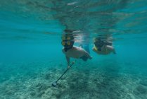 Пара снорклінг під водою в бірюзовому морі — стокове фото