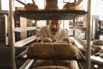 Mature male baker working in baker shop — Stock Photo