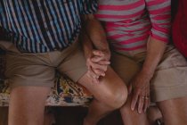 Romantica coppia di anziani che si tiene per mano in soggiorno a casa — Foto stock