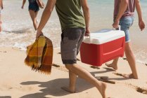 Amis masculins portant esky dans la plage par une journée ensoleillée — Photo de stock