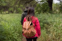Вид сзади пары с рюкзаком прогулки в сельской местности — стоковое фото