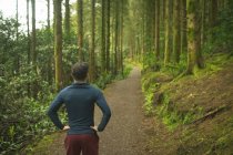 Visão traseira do homem em pé na floresta exuberante — Fotografia de Stock