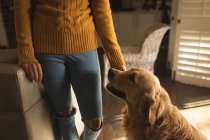 Sección media de la chica de pie con su perro en casa - foto de stock