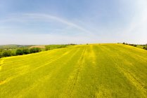 Vista do campo em uma encosta de colina em um dia ensolarado — Fotografia de Stock